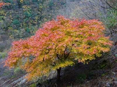 15745959352953 ①.jpg