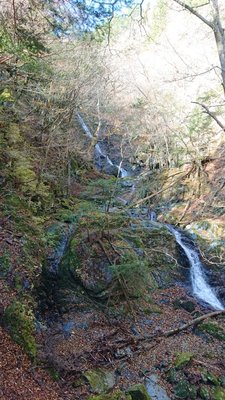 15745947561360 ③.jpg