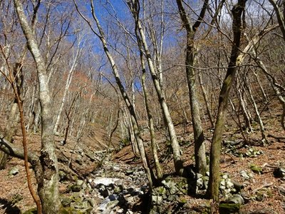 15745950514453 ⑤.jpg