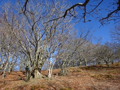 15745955510041 ⑧.jpg