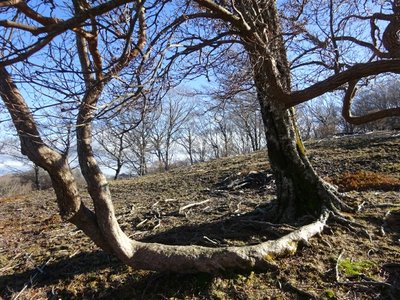 15745952351737 ⑦.jpg