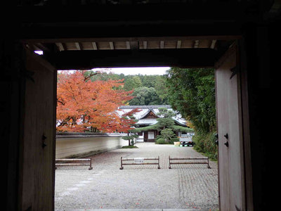 PB260113.jpg (61.6 KiB) 閲覧された回数 3344 回 円照寺