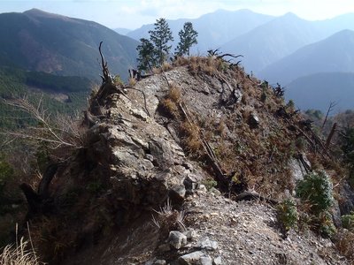 ８年前はまだ土が付いていた。