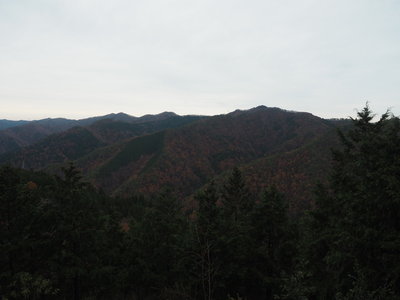 p 675より若丹国境尾根を望望む.jpg (136.93 KiB) 閲覧された回数 3852 回 左手のピーク八ヶ峰から西に伸びる若丹国境尾根