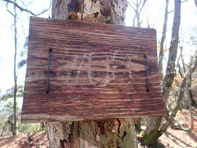 チト道から外れたところに表示あり