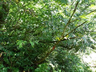 取り付きの目印