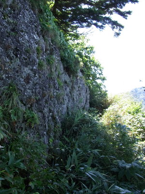 岩壁基部の巻き