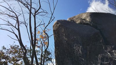 s-DSC_1519_resized_20191205_085504999.jpg (167.69 KiB) 閲覧された回数 2991 回 適当に登った小さな尾根で出会った岩