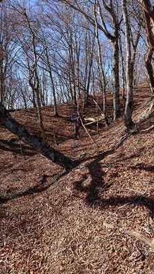 15755544659010 ①.jpg