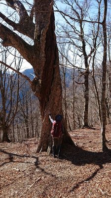 15755545464211 ②.jpg