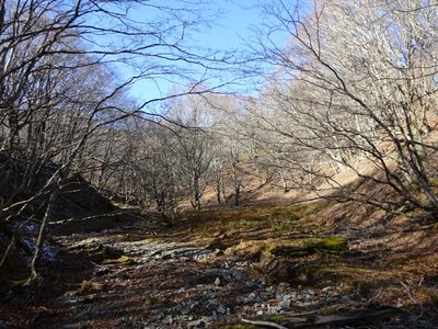 15755547315573 ④.jpg