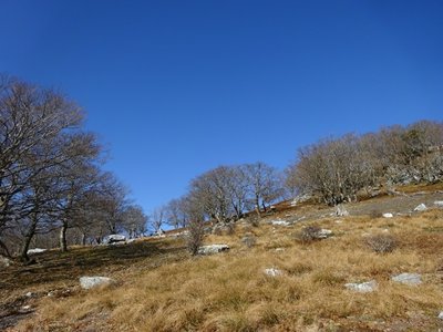 15755547965514 ⑦.jpg