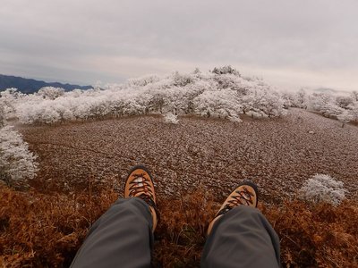 今日のランチ場。