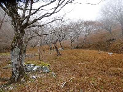 15758073197381 桧塚若水の広場.jpg