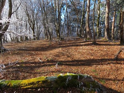 P1334　大又駐車場分岐　薊岳は前方、右へ降りて行きます