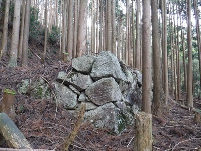 水沢鉱山地形場