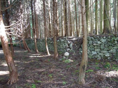 黄和田城跡.JPG (219.86 KiB) 閲覧された回数 7346 回 黄和田城の石垣