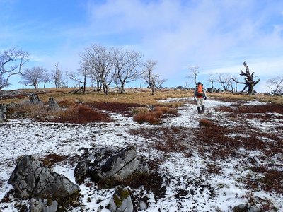 PC210241.JPG (428.26 KiB) 閲覧された回数 5451 回 気持ちのいいテーブルランド