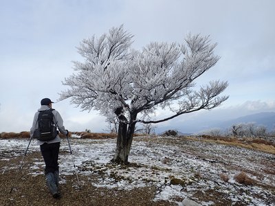 PC210266.JPG (356.49 KiB) 閲覧された回数 5448 回 霧氷が綺麗です