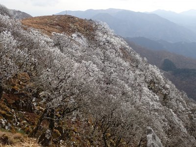 PC210278.JPG (432.13 KiB) 閲覧された回数 5440 回 ボタンブチを見ます