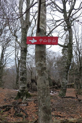 中山谷山への標識