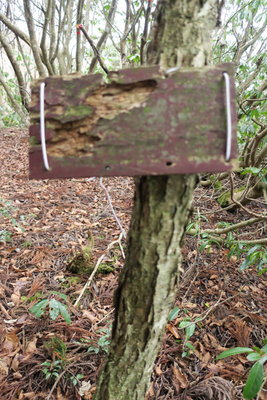 恐らくこれが正しい方向を示していたはずの道標