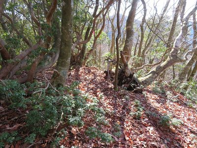 左方面を探すと最後の尾根の入り口