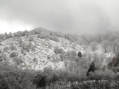 IMG_2547.JPG (194.22 KiB) 閲覧された回数 13721 回 第二劇場