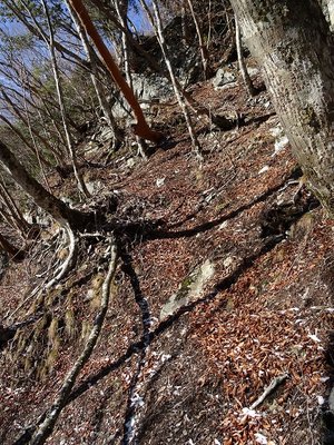 大岩壁の左へ薄い踏み跡