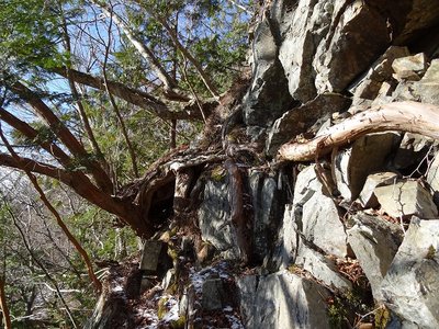 大岩壁の左端、ここの5mくらい下が巻けたのかも