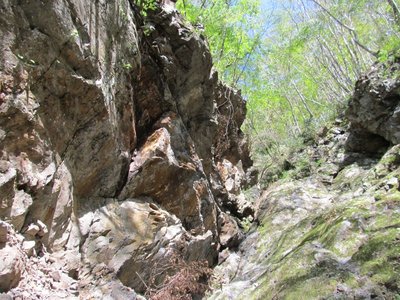 ちょっと崩れてるかな？