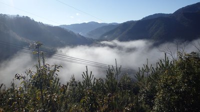 巡視路尾根から生姜峰方面の雲海