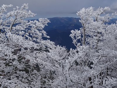 三峰山方面の樹雪
