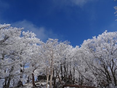 桧塚頂上の樹氷