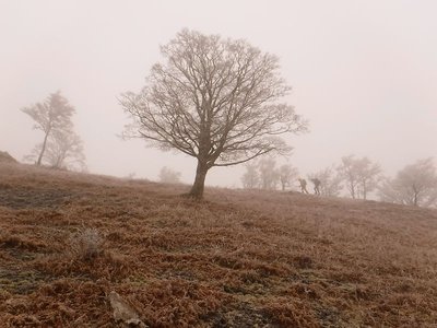 神戸から桧塚に初めての親子