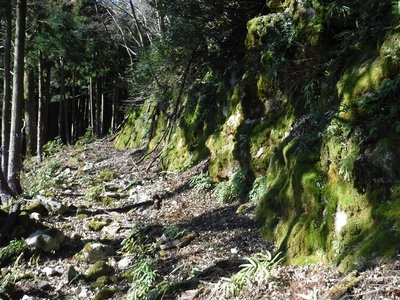 カワタニ越の道