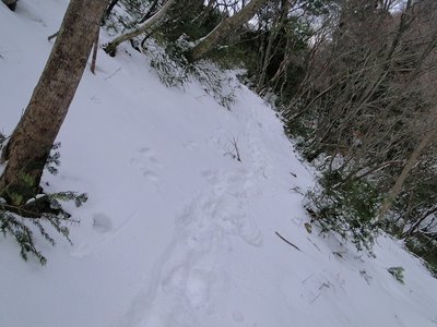 積雪時の奥の畑入り口