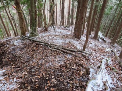 稜線湯ノ又分岐　　下り方向から見る　湯ノ又へは左へ下る
