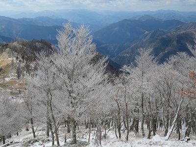 樹氷　奥は登ってきた尾根