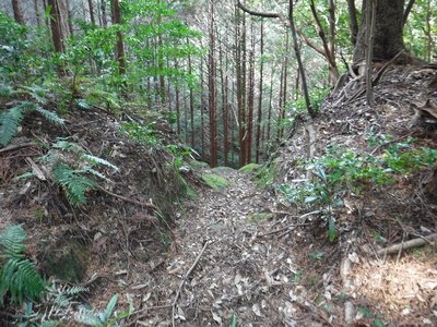 山見道の切通