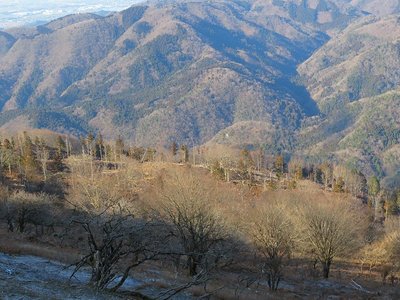 歩いてみたい尾根