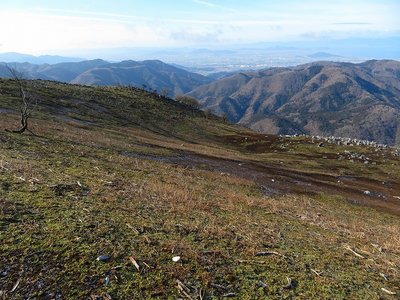 テラスのような素敵な所