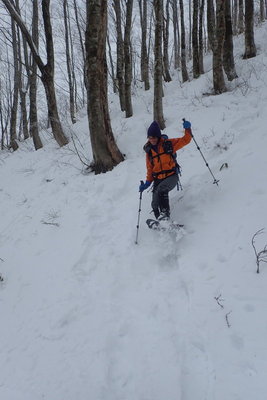 ここまではよかったが・・・(^^;)