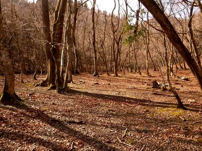 「日本のテント場100選」いくつでもテントが張れます。