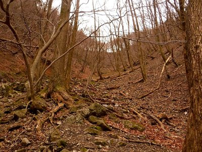 ワサビ峠へ緩やかな登り。