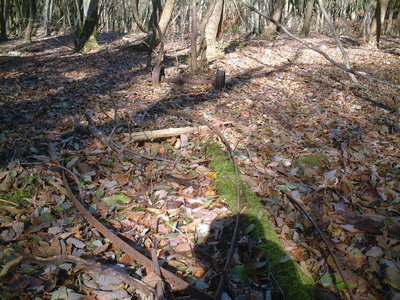（写真-03）上谷尻谷の車輪と帯鋼レール
