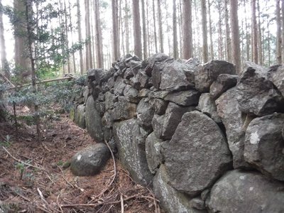 DSCF2737.JPG (313.92 KiB) 閲覧された回数 20927 回 猪垣