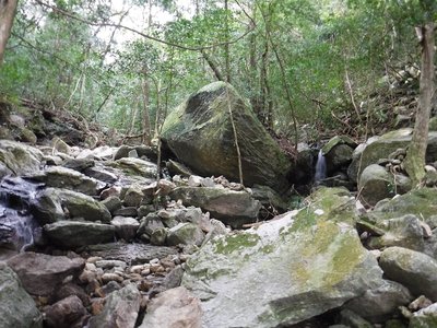 DSCF2766.JPG (349.21 KiB) 閲覧された回数 20186 回 1号小屋と2号小屋の海岸べりの通過点