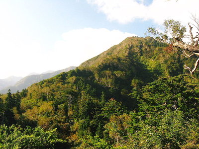 ● 薬師山への登り