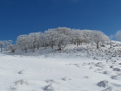 登りついたテーブルランドの雪景色